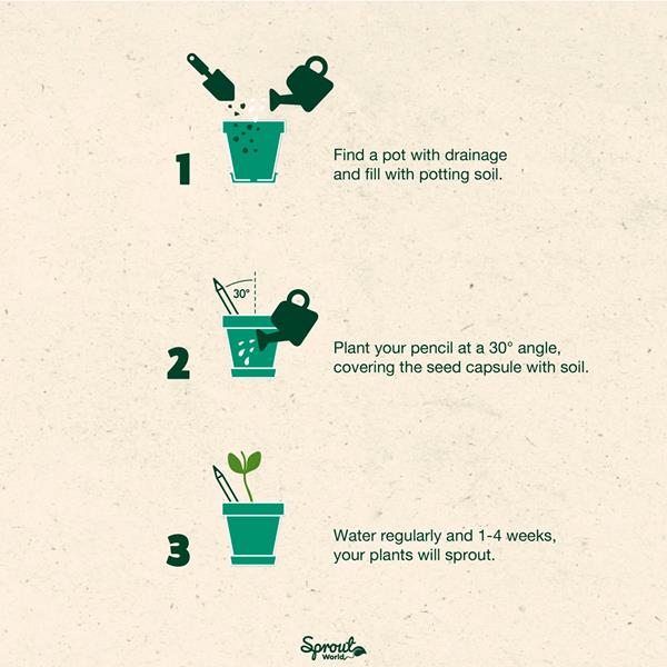 Lápis Sprout de Madeira que Ganha uma Nova Vida após o uso para Personalizar