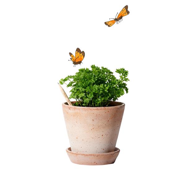 Lápis Sprout de Madeira que Ganha uma Nova Vida após o uso para Personalizar