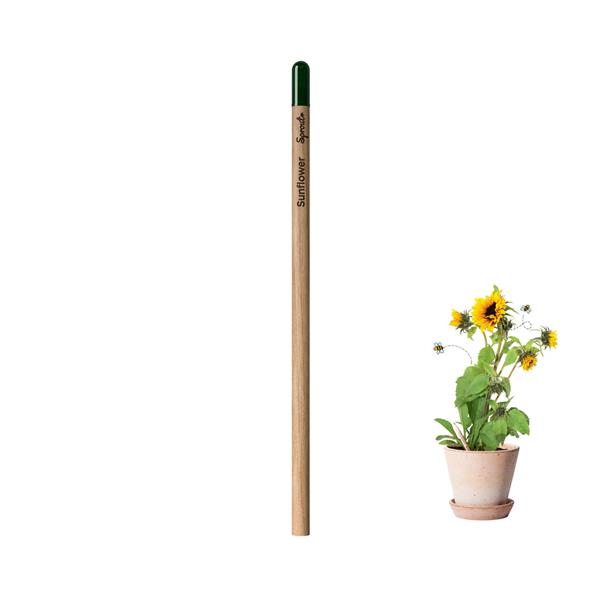 Lápis Sprout de Madeira que Ganha uma Nova Vida após o uso para Personalizar
