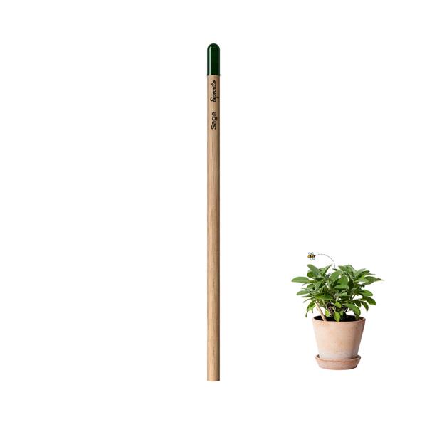 Lápis Sprout de Madeira que Ganha uma Nova Vida após o uso para Personalizar