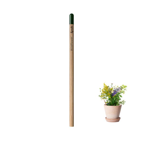 Lápis Sprout de Madeira que Ganha uma Nova Vida após o uso para Personalizar