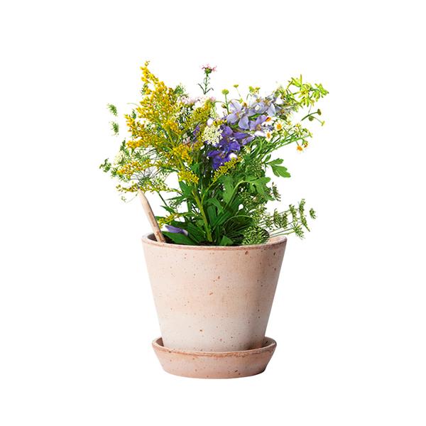 Lápis Sprout de Madeira que Ganha uma Nova Vida após o uso para Personalizar